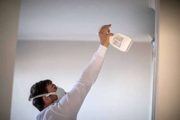 Best Office Mold Removal Services  in Han, GA