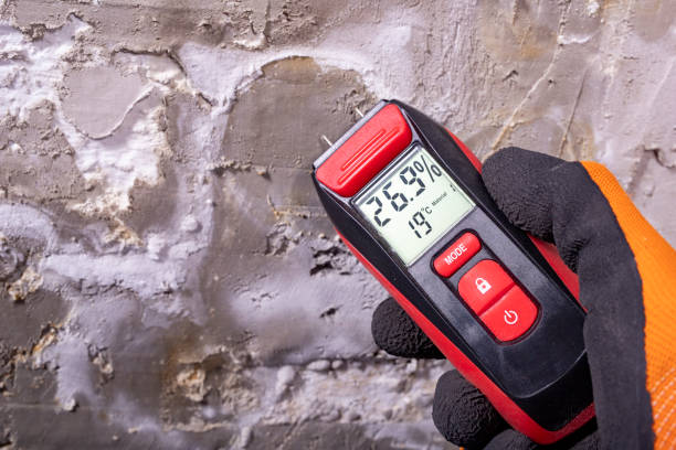 Best Crawl Space Mold Removal  in Han, GA