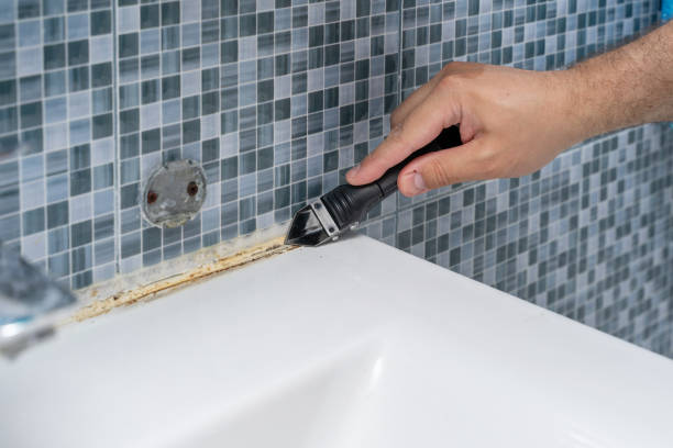 Best Local Mold Removal Service  in Han, GA